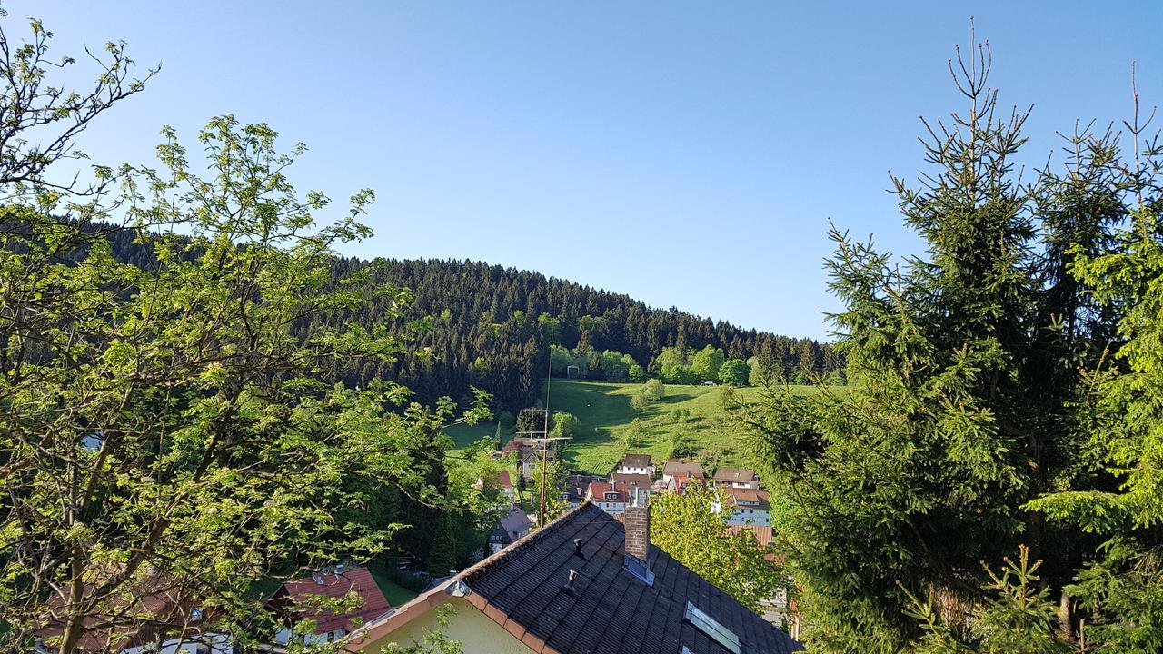 Hotel Pension Jägerstieg Bad Grund Exterior foto